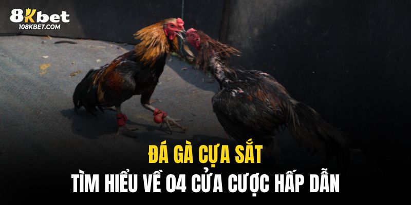 Đá gà cửa sắt: Tìm hiểu về 04 cửa cược hấp dẫn