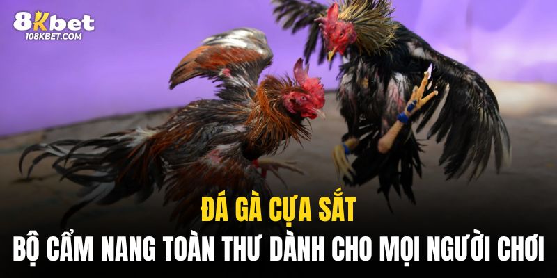 Đá gà cựa sắt 8Kbet